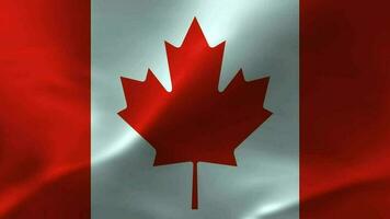 kanada flagga vinka textil- texturerad bakgrund. sömlös slinga animering video