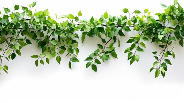 ai generativo suave verde árbol ramas en blanco antecedentes con Copiar espacio foto