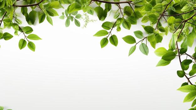 ai generativo suave verde árbol ramas en blanco antecedentes con Copiar espacio foto