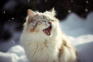 gato abofeteado por bola de nieve. linda gatito con sorprendido y enojado rostro, golpear por nieve durante nieve luchar. generado ai. foto