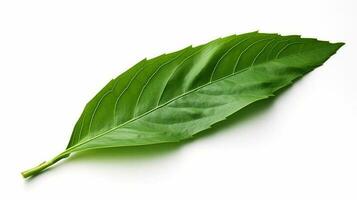 AI Generative green leaf on white background photo