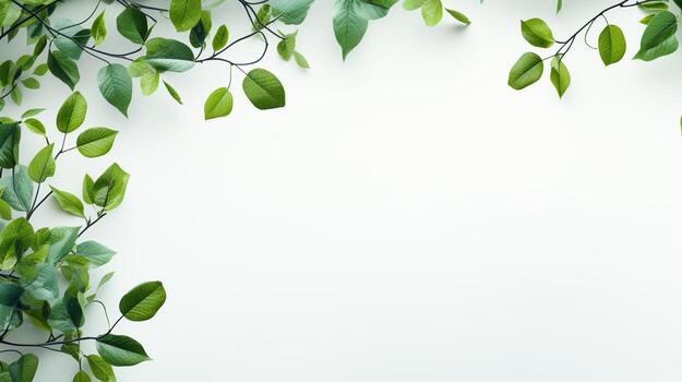 ai generativo suave verde árbol ramas en blanco antecedentes con Copiar espacio foto