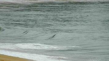 mar onda rolos em a arenoso costa e desenvolve para dentro espuma. relaxar conceito. fundo para viagem publicidade video