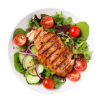 Grilled chicken breast and vegetables isolated. Illustration png