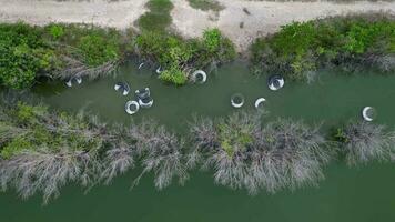 un aérien vue de ordures pneu entouré par des arbres video