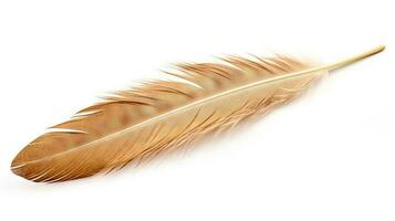 Bird feather on white background. Beautiful bird plumage or wing element, isolated smooth feather. Generated AI. photo