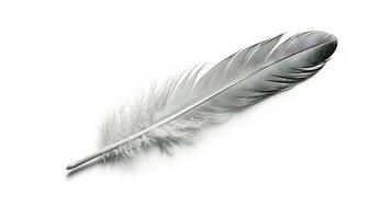 pájaro pluma en blanco antecedentes. hermosa pájaro plumaje o ala elemento, aislado suave pluma. generado ai. foto