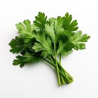 Parsley Leaf on white background AI Generative photo