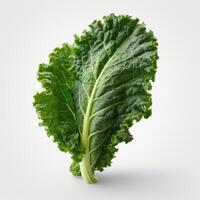 Kale Leaf on white background photo