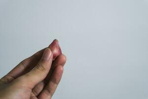 mano participación ajo aislado en blanco antecedentes. el concepto de el utilizar de ajo y sano comiendo foto