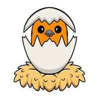 Cute bird cartoon inside from egg vector
