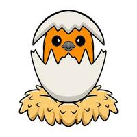 Cute bird cartoon inside from egg vector