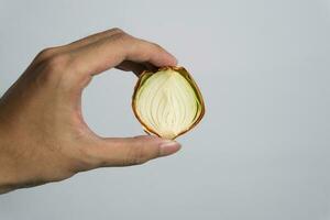 hand holding sliced Garlic isolated on white background. The concept of the use of garlic and healthy eating photo