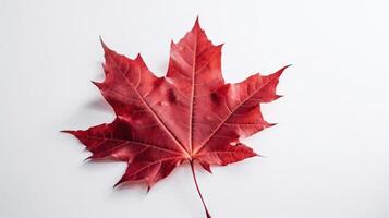 Canada Independence Day. Red maple leaf on a white background, close-up. AI generated. photo