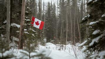 Canadá independencia día. nacional bandera en el viento en un Nevado abeto bosque. ai generado. foto