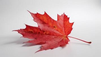 Canada Independence Day. Red maple leaf on a white background, close-up. AI generated. photo