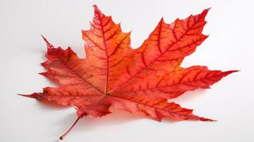 Canadá independencia día. rojo arce hoja en un blanco fondo, de cerca. ai generado. foto