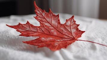 Canada Independence Day. Red maple leaf on a white background, close-up. AI generated. photo