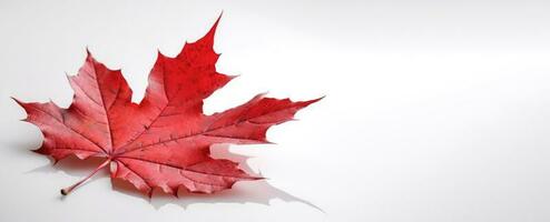 Canada Independence Day. Red maple leaf on a white background, close-up. AI generated. photo