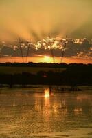 High voltage power line at sunset, Pampas, Argentina photo