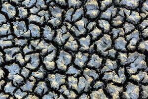 Cracked dry soil, Patagonia, Argentina photo