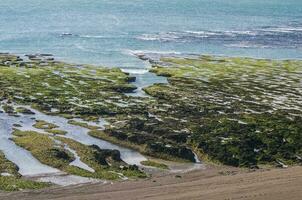 Stone shoal at low tide, Peninsula Valdes, Patagonia, Argentina photo