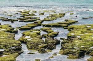 Stone shoal at low tide, Peninsula Valdes, Patagonia, Argentina photo