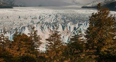 Perito Moreno Glacier, Los Glaciares National Park, Santa Cruz Province, Patagonia Argentina. photo