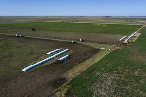 silo bolsa, grano almacenamiento en pampa campo, argentina foto