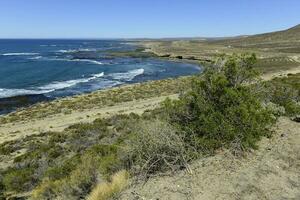 Coastal seascape, Patagonia, Argentina photo