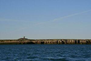 Deseado Harbour, Puerto Deseado, Santa Cruz Province, Patagonia, Argentina photo