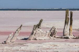 Historical remains of old salt exploitation, Salinas Grande, La Pampa, Argentina. photo