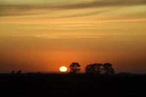 Rural sunset landscape, Buenos Aires province , Argentina photo