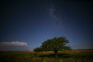 Pampas landscape photographed at night with a starry sky, La Pampa province, Patagonia , Argentina. photo