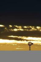 Landscape with windmill at sunset, Pampas, Patagonia,Argentina photo