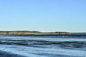 Sea, cliffs and flamingos, Peninsula Valdes, patagonia photo