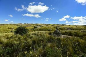 quebrada del condorito nacional parque, córdoba provincia, argentina foto