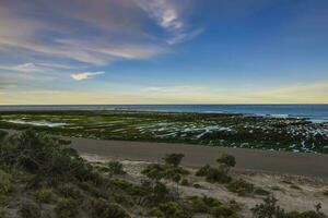 bajo marea costero paisaje en península Valdés, mundo patrimonio sitio, Patagonia argentina foto