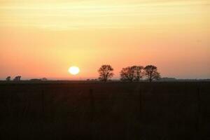 rural puesta de sol paisaje, buenos aires provincia , argentina foto