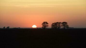 Rural sunset landscape, Buenos Aires province , Argentina photo