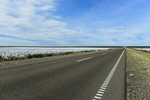 Route in the Pampas plain, Patagonia, Argentina photo