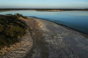 Calden forest landscape, Prosopis Caldenia plants, La Pampa province, Patagonia, Argentina. photo