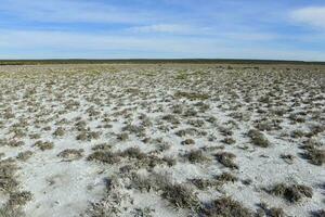 Salty soil in a dry lagoon, in the south of the province of La Pampa, Patagonia, Argentina. photo