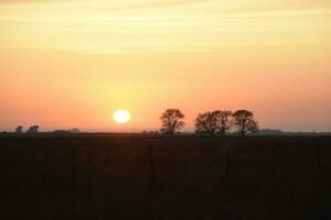 Rural sunset landscape, Buenos Aires province , Argentina photo