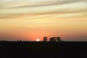 Rural sunset landscape, Buenos Aires province , Argentina photo