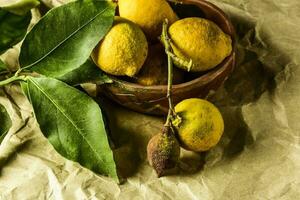 Organic lemons, harvested from the garden, prepared on the table. photo