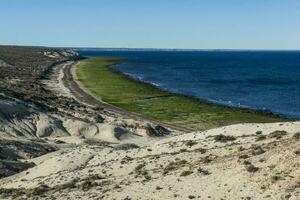 Coastal landscape in Peninsula Valdes at dusk, World Heritage Site, Patagonia Argentina photo