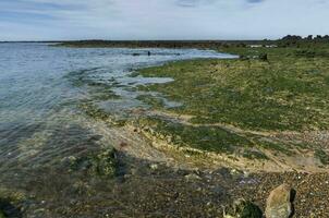 Stone shoal at low tide, Peninsula Valdes, Patagonia, Argentina photo