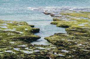 Stone shoal at low tide, Peninsula Valdes, Patagonia, Argentina photo