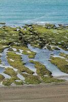 Stone shoal at low tide, Peninsula Valdes, Patagonia, Argentina photo